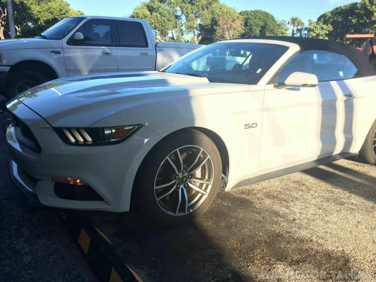 Ford Mustang 6 5.0 Ti-VCT-V8 Test