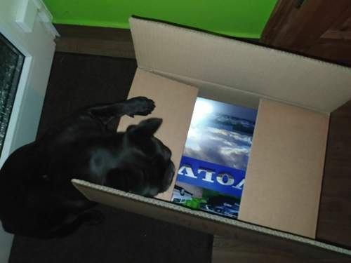 IMG_20201129_200327.jpg