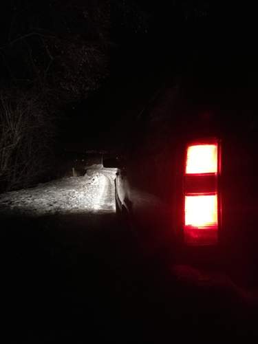 Img-20190204