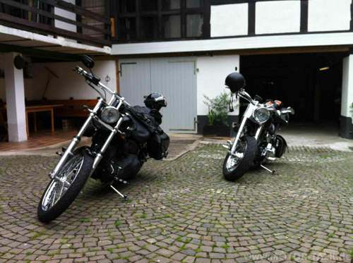Img-6559