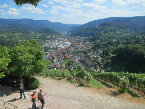 Img-0816