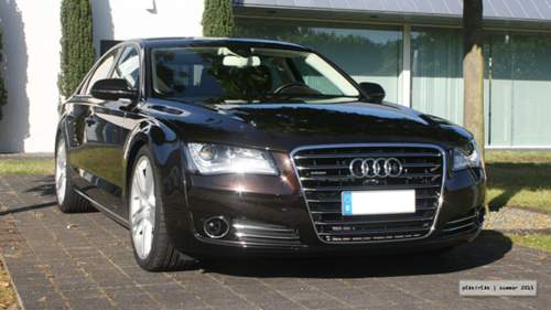 Bild-1