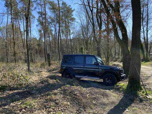 Waldfahrt