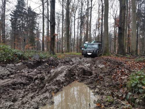 Bild #210569132