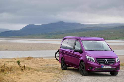 Pink vito