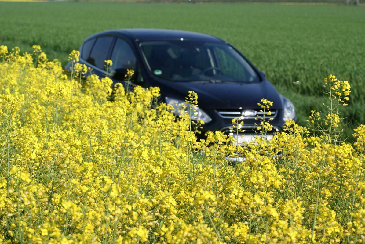 Fotos von eurem Grand/C-Max!
