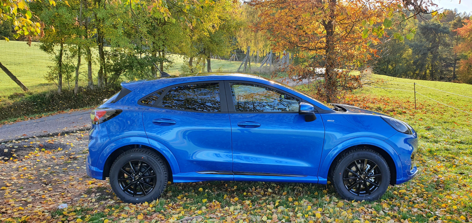 Fotos zeigt her euren Puma