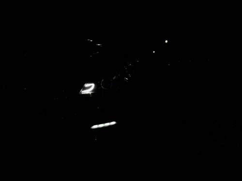 12669142-10153914627268064-780279541-o