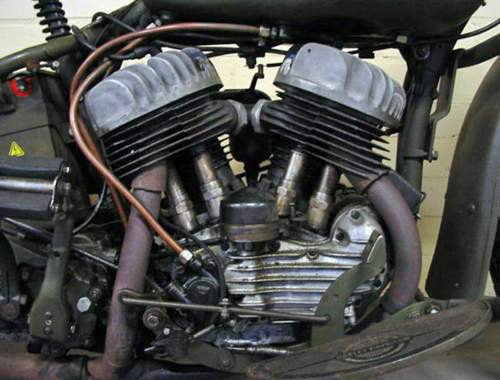 Flathead