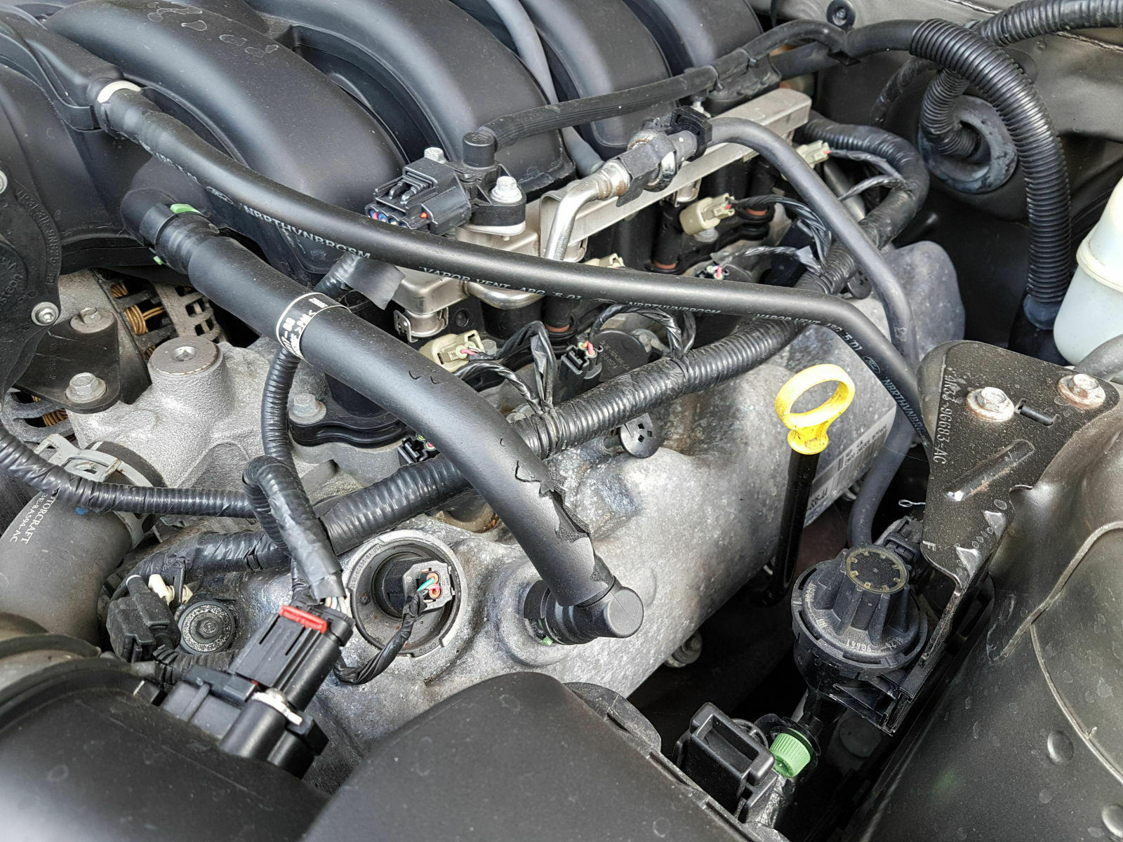 Fragen zum Mustang GT, Generation V ab 2006