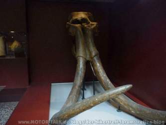 Im Museum