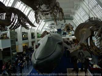 Museum
