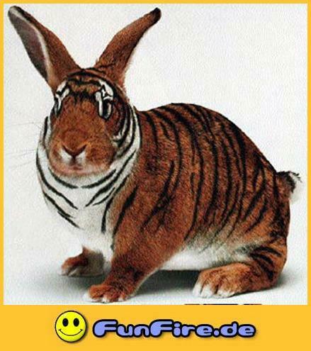 Frohe Ostern