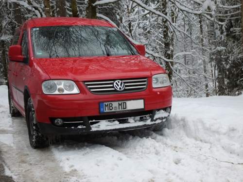 Maxl im Schnee