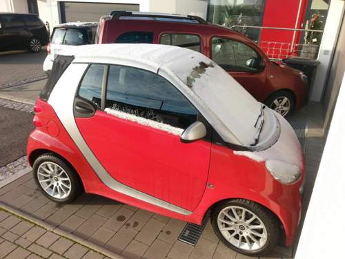 Nikolaus-Smart