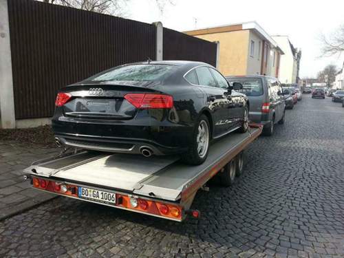 Bild-2