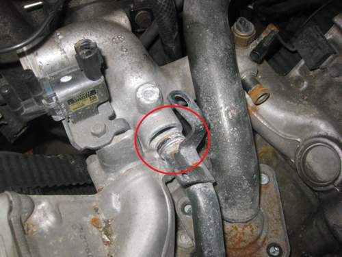 O-Ring 2