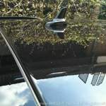 Img-0178