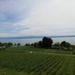 Bodensee mit Alpenblick