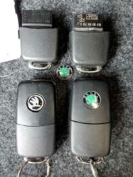 Skoda Emblem
