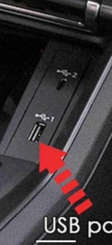 Asset.PNG.jpg