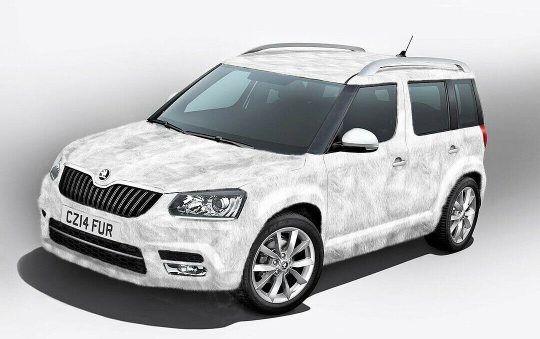 Fell bis zu den Ohren: Skoda Yeti Ice