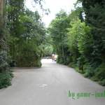 Viel Grün