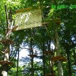 Profi-Parcour