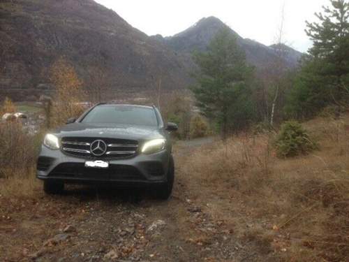 Glc
