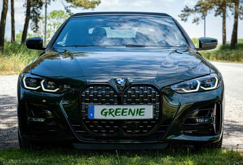 Greenie
