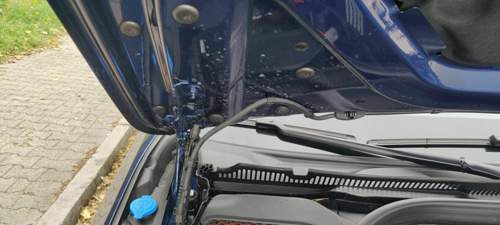 Img-20211016
