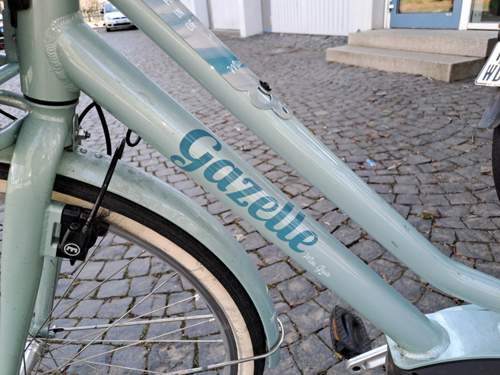 Gazelle