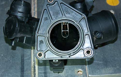 Dsc-1570