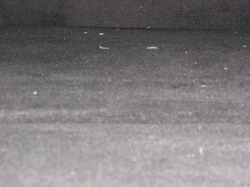 Img-0852