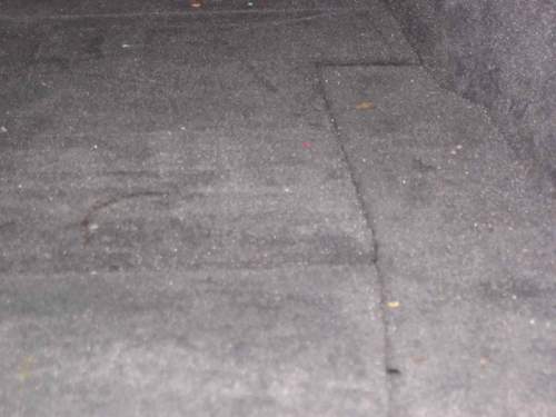 Img-0854
