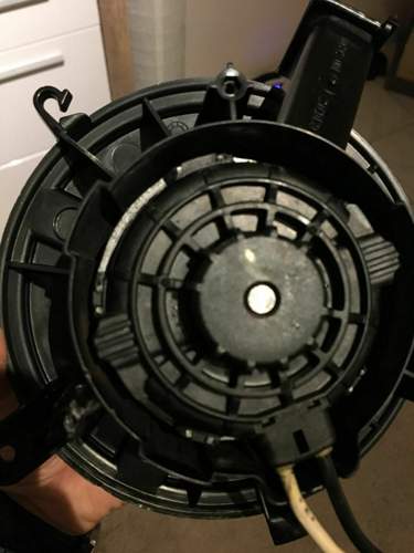 Img-4476