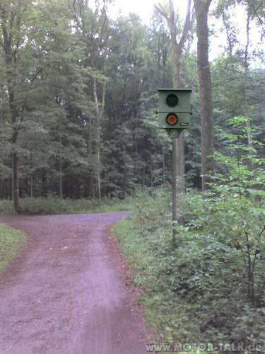 Blitzer-im-wald