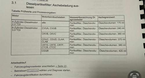 Aschebeladung-Grenzwerte