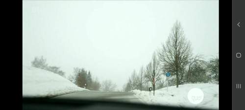 Bild #210227003