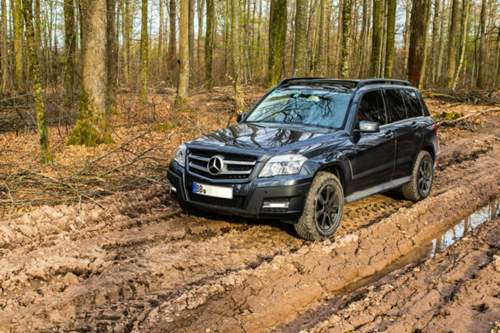 Glk-im-wald