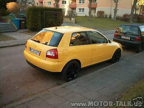 Gelber-a3-5