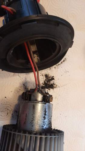 Gebläsemotor