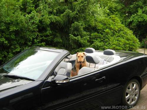 Cabrio-antje