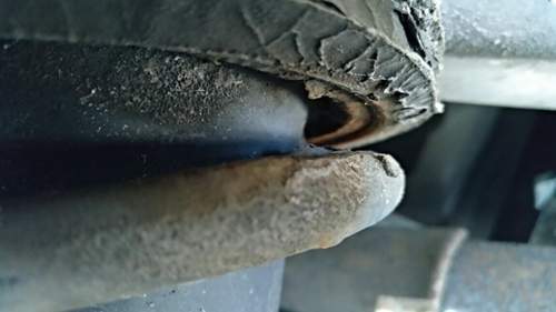 Img-20190216-123029-866