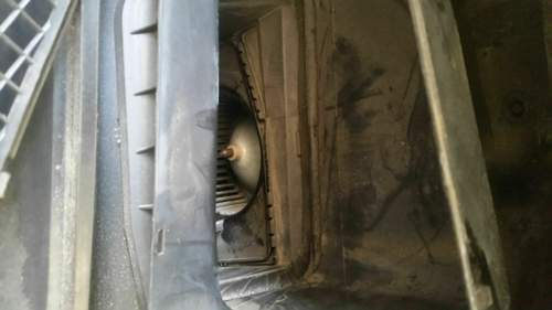 IMG_2020-02-16_12-08-21.jpeg