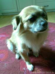 Handyfotos-2010-017