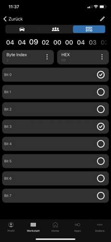 Screenshot OBDeleven.jpg