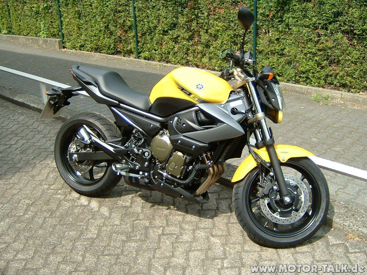 Gladius, er-6n, monster oder doch ninja?