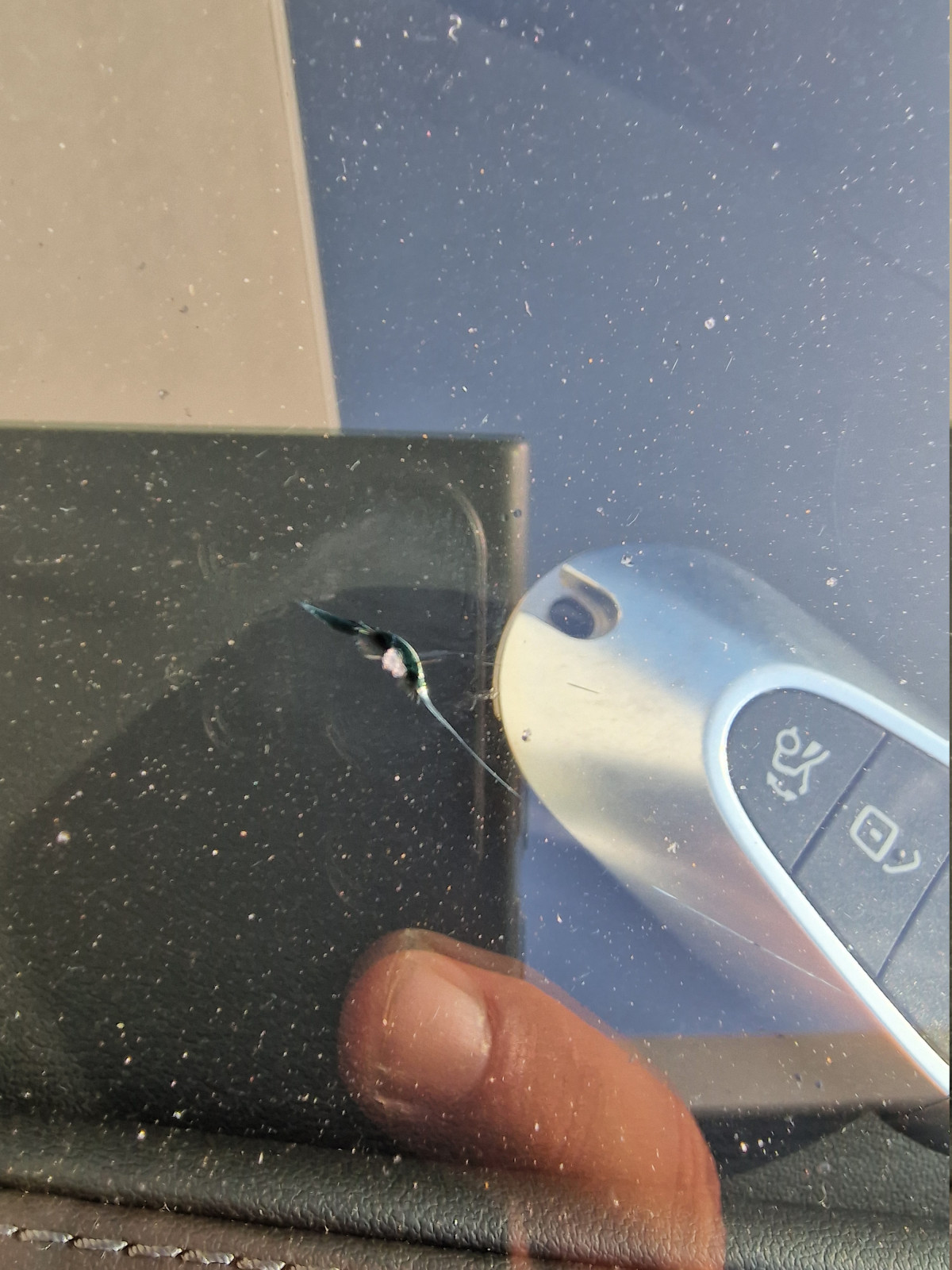 Glasschaden Scheibe reparieren oder tauschen?