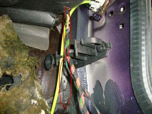 Bild-2